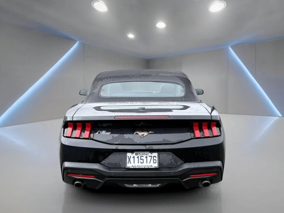2024 Ford S650 Mustang - Image 6 of 10