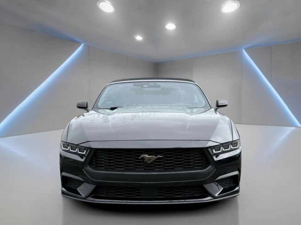 2024 Ford S650 Mustang - Image 2 of 10