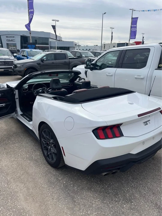 2024 Ford S650 Mustang - Image 12 of 12