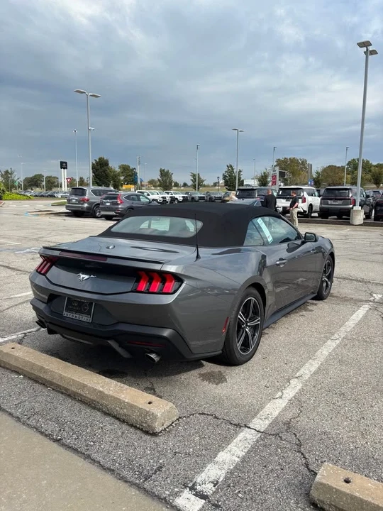 2024 Ford S650 Mustang - Image 4 of 8