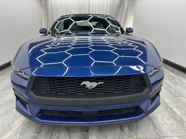 2024 Ford S650 Mustang - Image 2 of 12