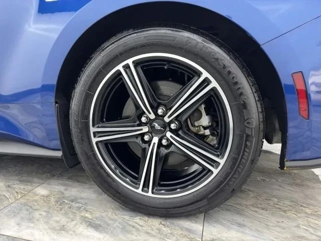 2024 Ford S650 Mustang - Image 12 of 12