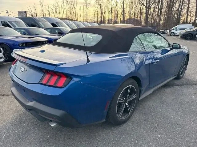 2024 Ford S650 Mustang - Image 6 of 12