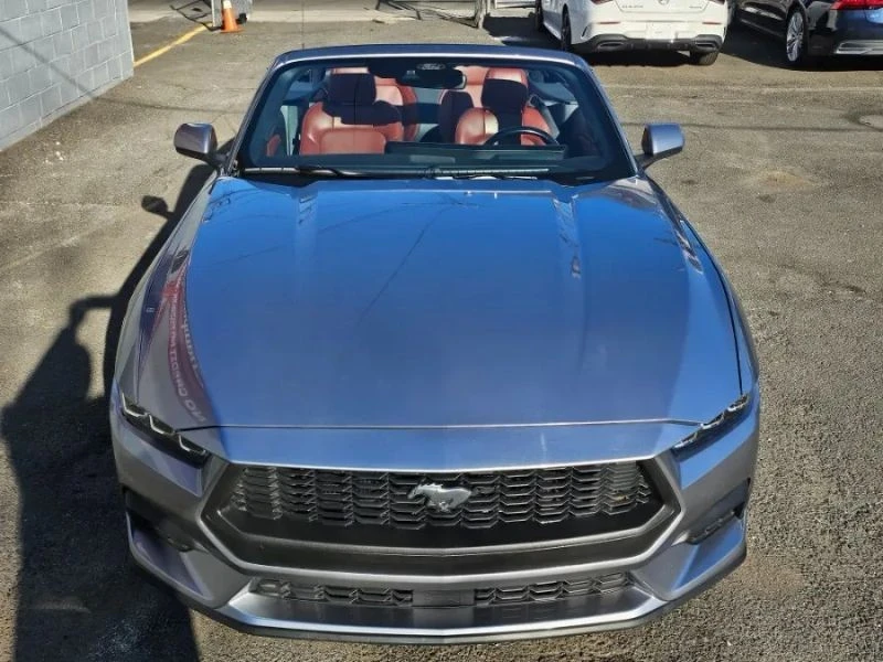 2024 Ford S650 Mustang - Image 6 of 12