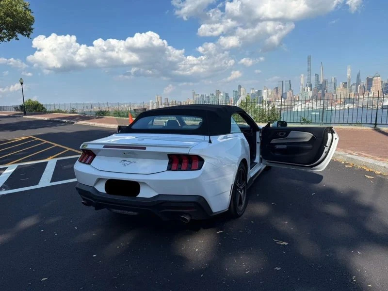 2024 Ford S650 Mustang - Image 12 of 12