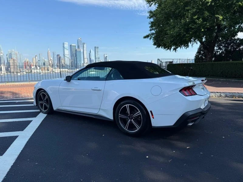 2024 Ford S650 Mustang - Image 6 of 12