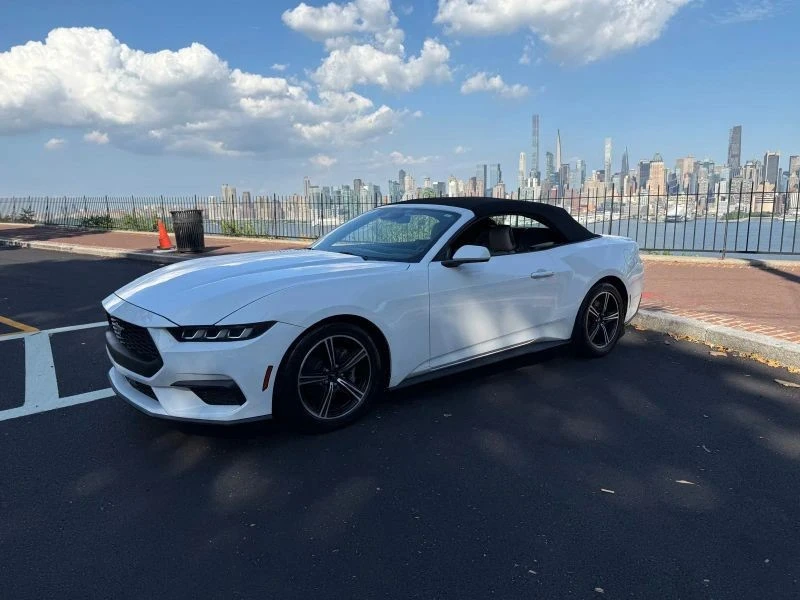 2024 Ford S650 Mustang - Image 2 of 12