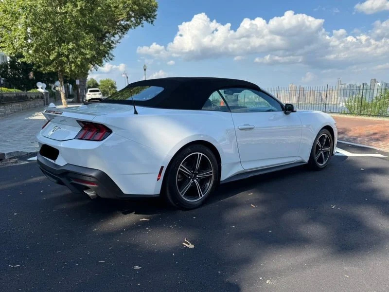 2024 Ford S650 Mustang - Image 10 of 12