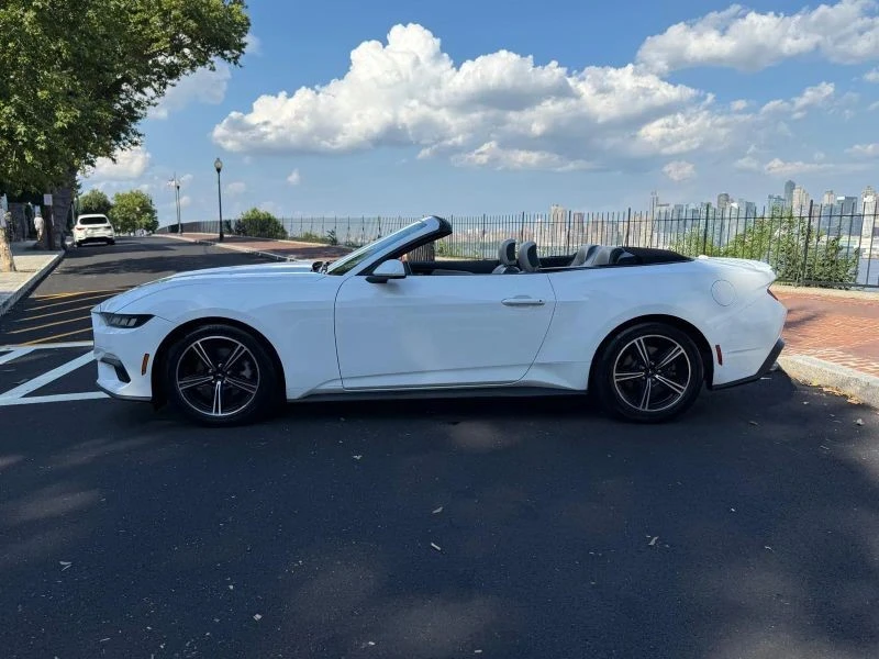 2024 Ford S650 Mustang - Image 4 of 12