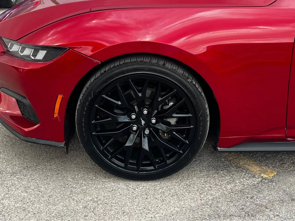 2024 Ford S650 Mustang - Image 5 of 10