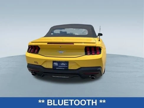 2024 Ford S650 Mustang - Image 4 of 19