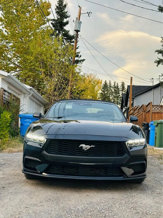 2024 Ford S650 Mustang - Image 2 of 6