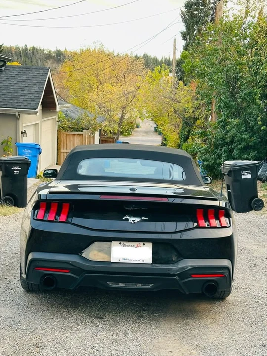 2024 Ford S650 Mustang - Image 5 of 6