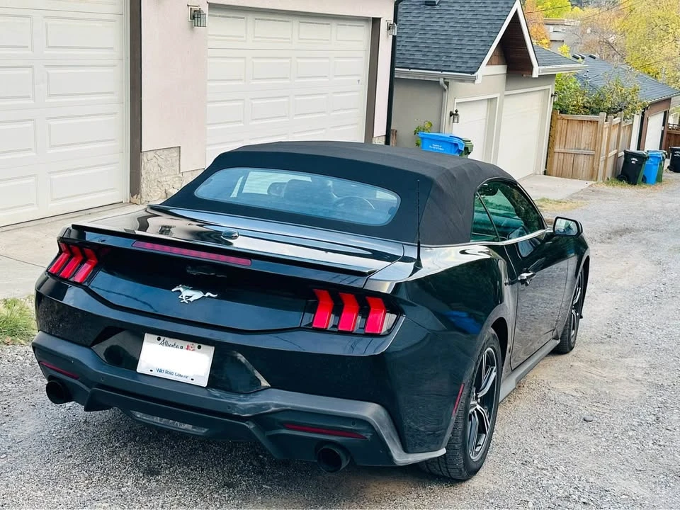 2024 Ford S650 Mustang - Image 6 of 6