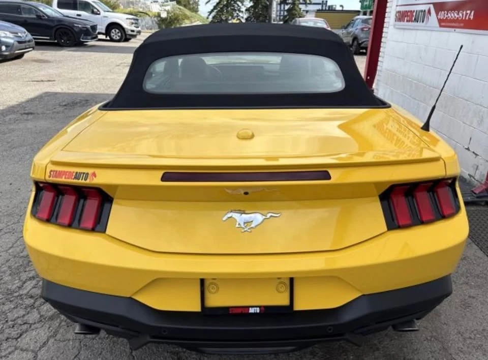 2024 Ford S650 Mustang - Image 4 of 13