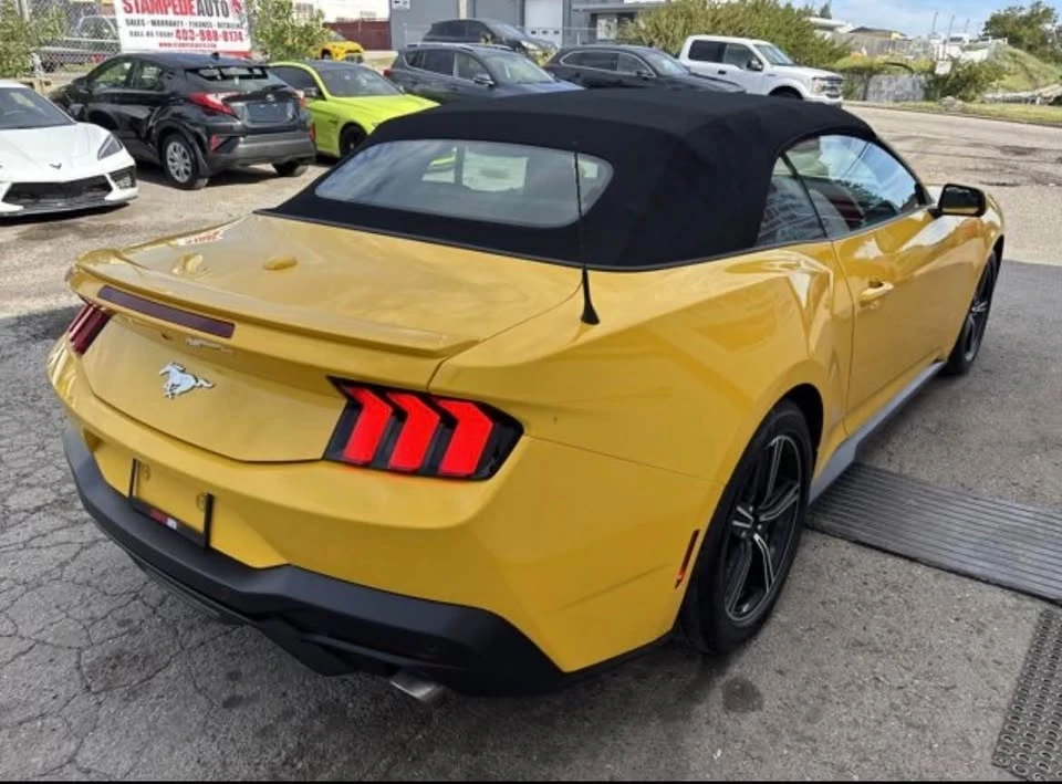 2024 Ford S650 Mustang - Image 3 of 13