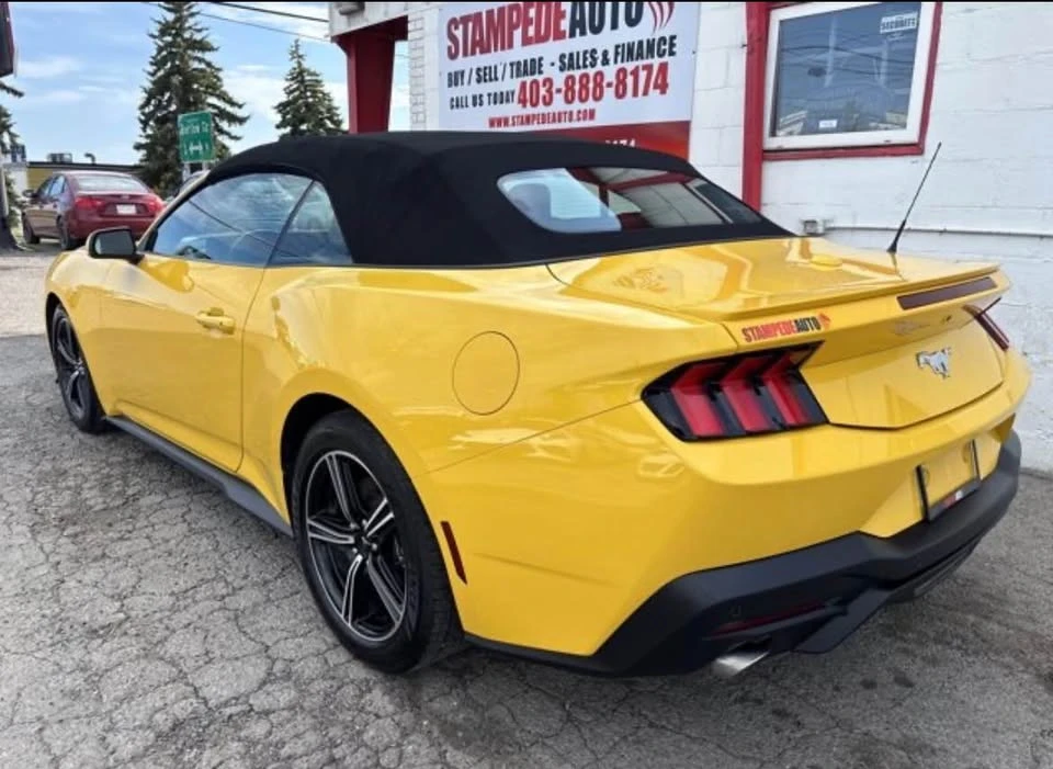 2024 Ford S650 Mustang - Image 5 of 13