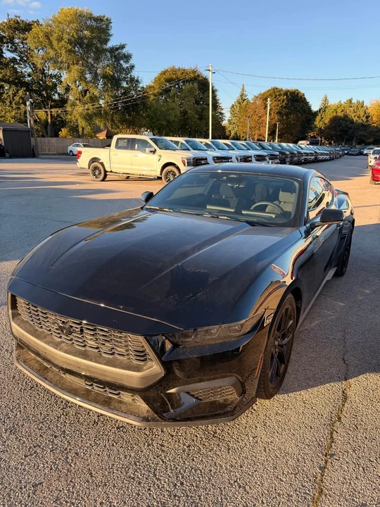 2024 Ford S650 Mustang - Image 4 of 4