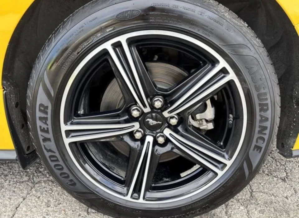 2024 Ford S650 Mustang - Image 13 of 13