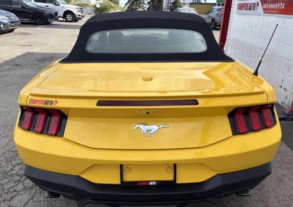 2024 Ford S650 Mustang - Image 3 of 11