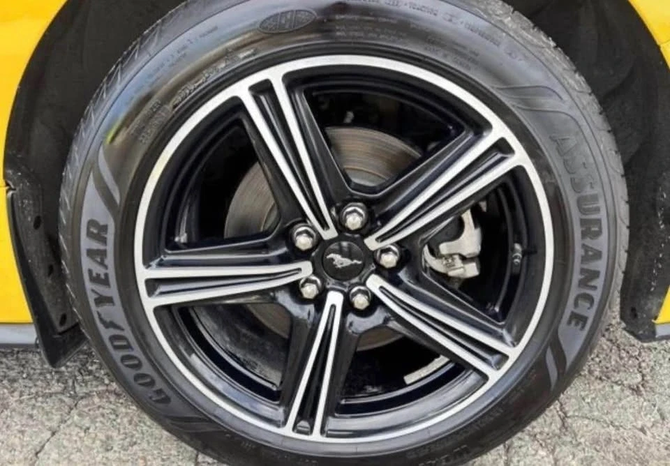 2024 Ford S650 Mustang - Image 11 of 11