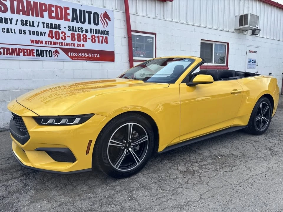 2024 Ford S650 Mustang - Image 2 of 19