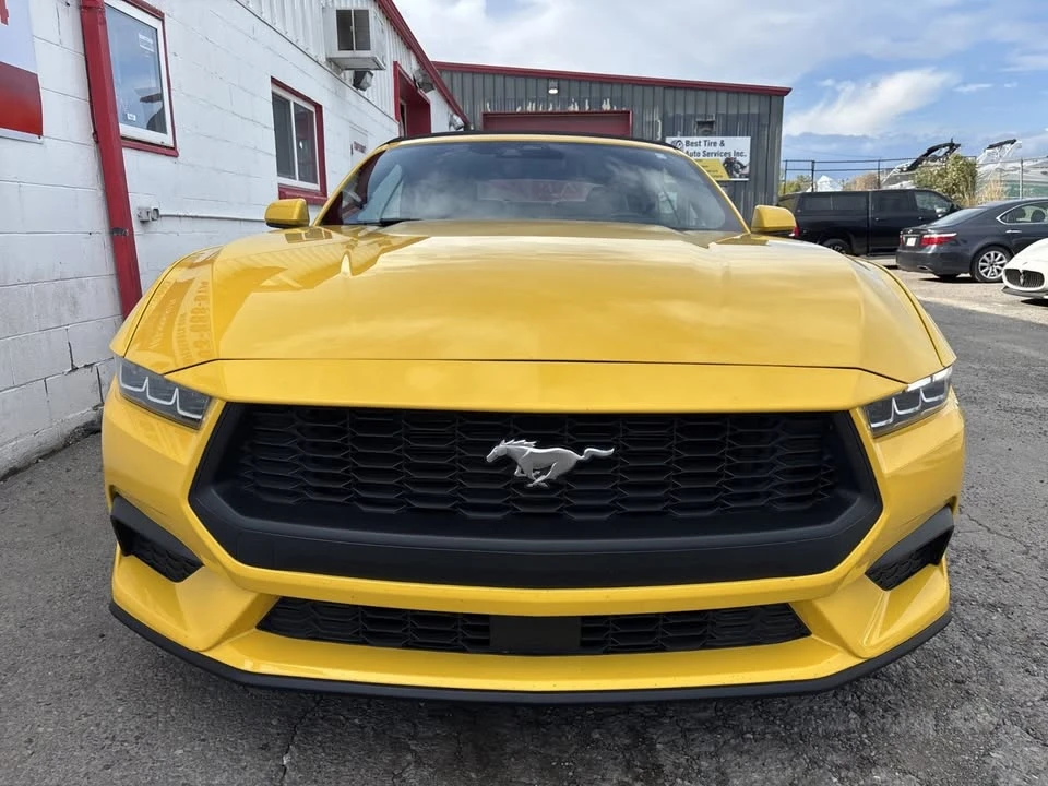 2024 Ford S650 Mustang - Image 4 of 19