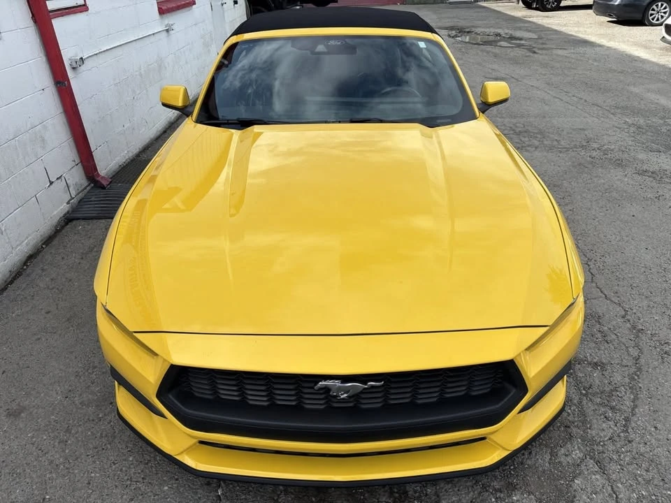 2024 Ford S650 Mustang - Image 3 of 19