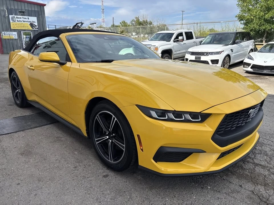 2024 Ford S650 Mustang - Image 7 of 19