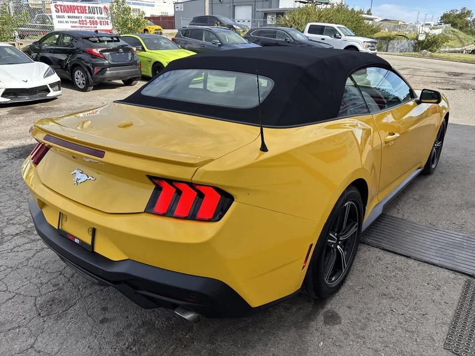 2024 Ford S650 Mustang - Image 5 of 19