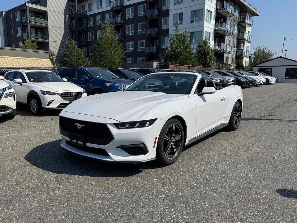 2024 Ford S650 Mustang - Image 2 of 8