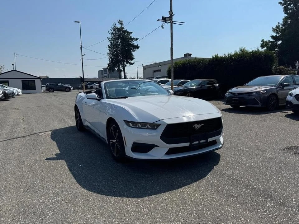 2024 Ford S650 Mustang - Image 3 of 8