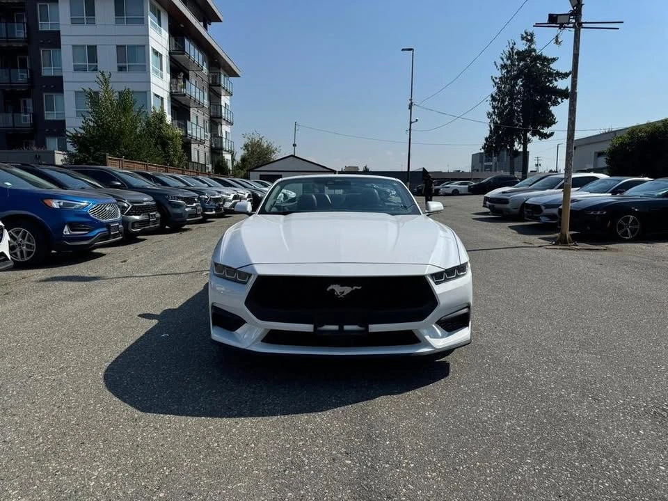 2024 Ford S650 Mustang - Image 4 of 8