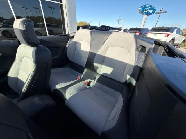 2024 Ford S650 Mustang - Image 16 of 19