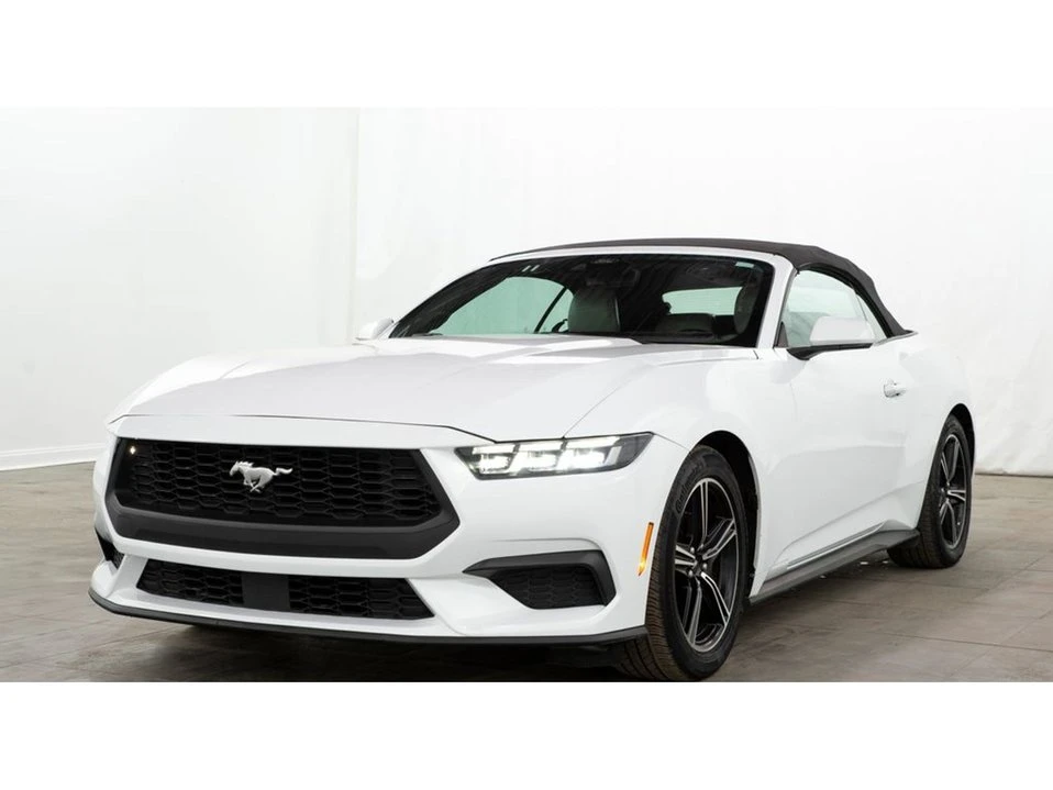 2024 Ford S650 Mustang - Image 3 of 20