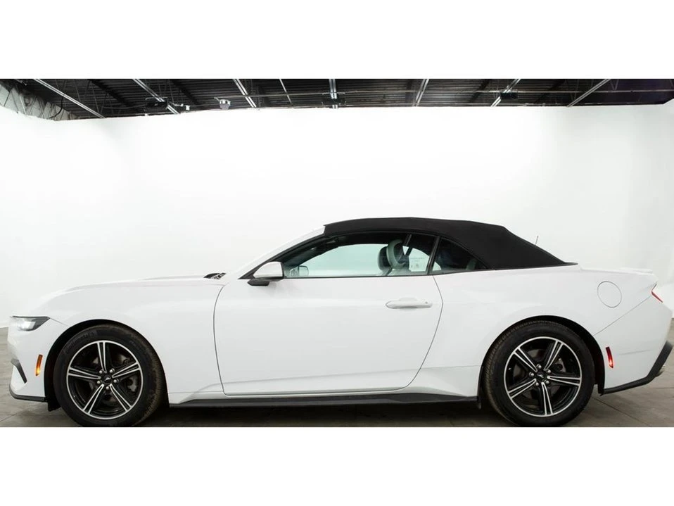 2024 Ford S650 Mustang - Image 13 of 20