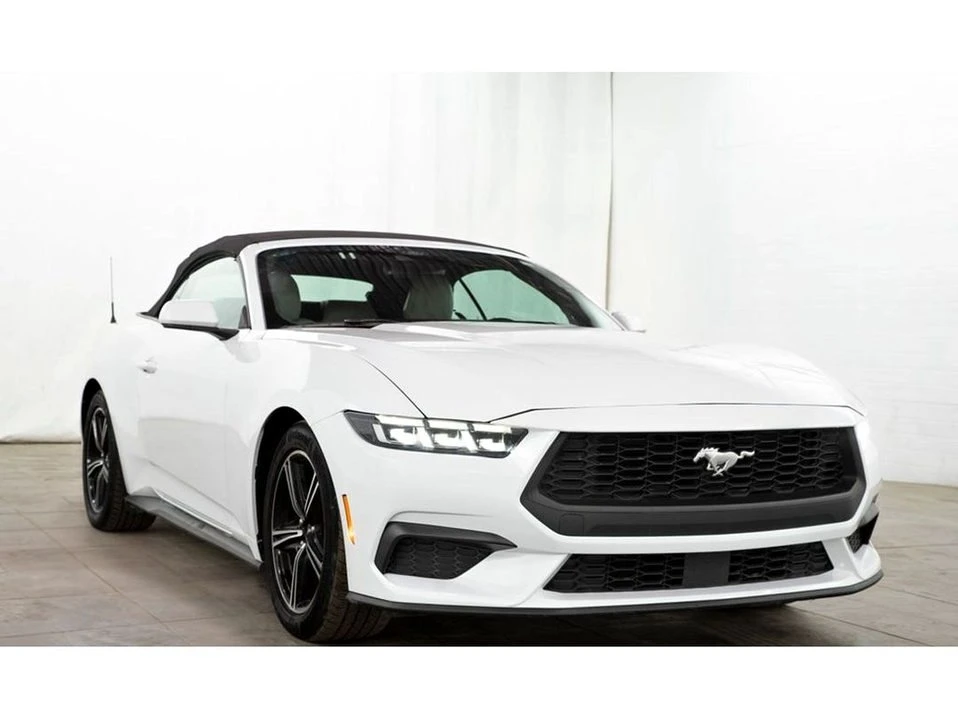 2024 Ford S650 Mustang - Image 2 of 20