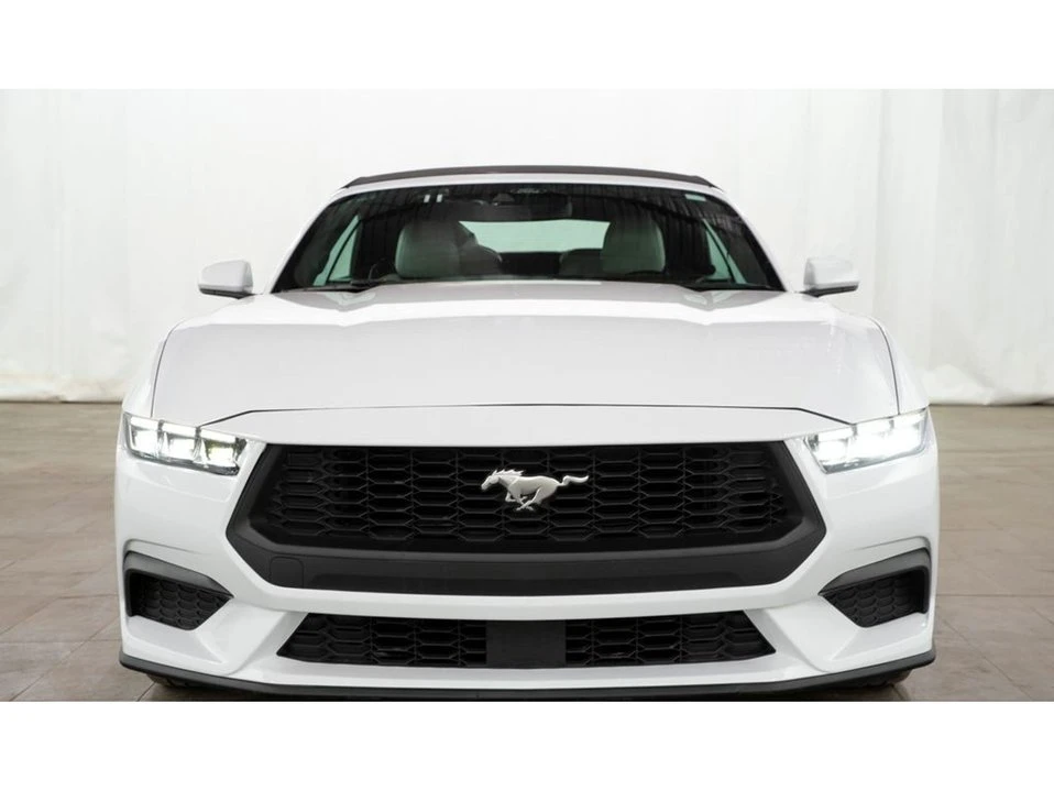 2024 Ford S650 Mustang - Image 12 of 20