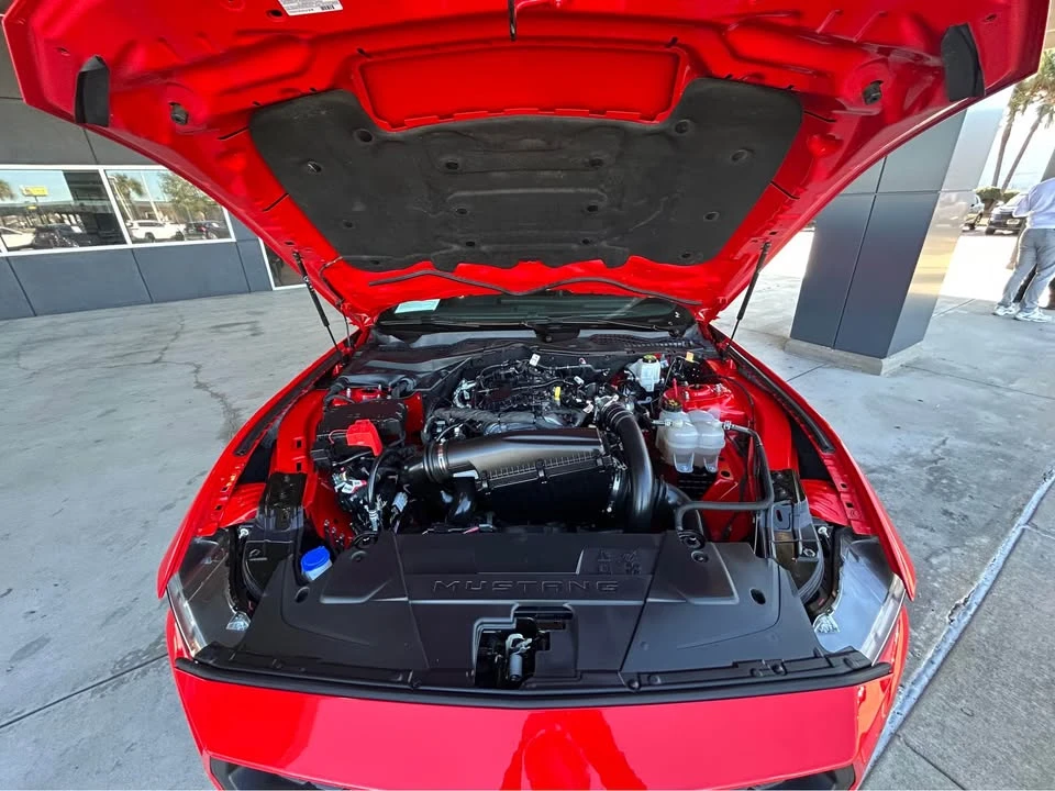 2024 Ford S650 Mustang - Image 8 of 8