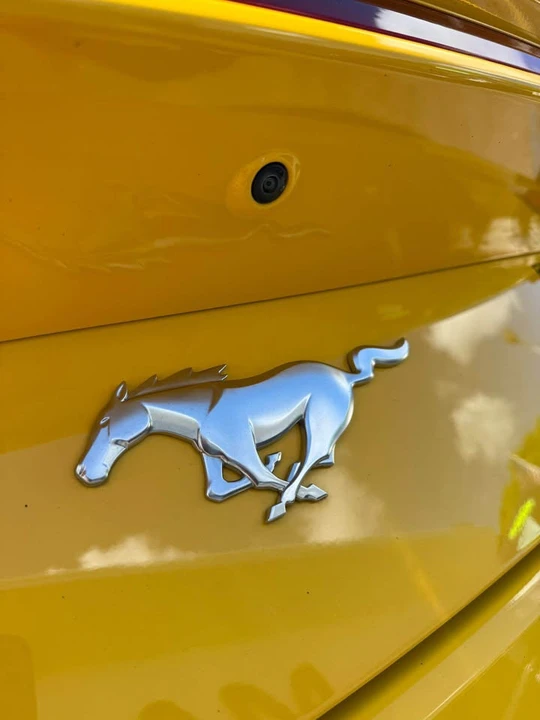 2024 Ford S650 Mustang - Image 5 of 13