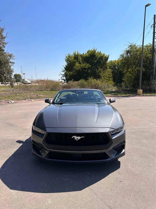 2024 Ford S650 Mustang - Image 12 of 12