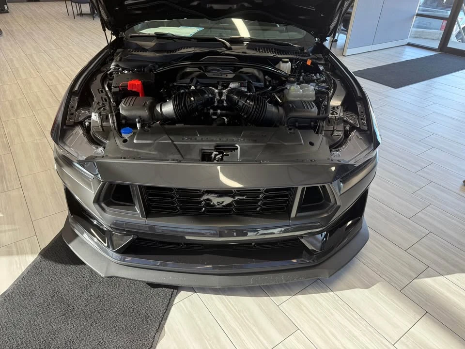2024 Ford S650 Mustang - Image 11 of 13