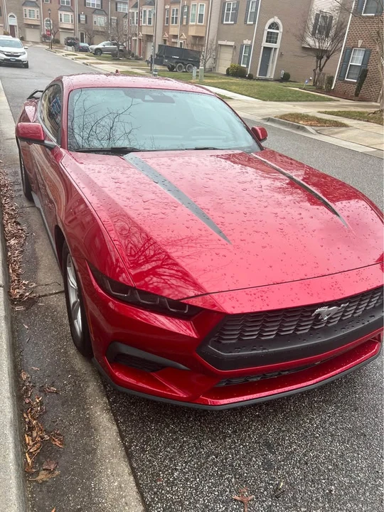 2024 Ford S650 Mustang - Image 9 of 15