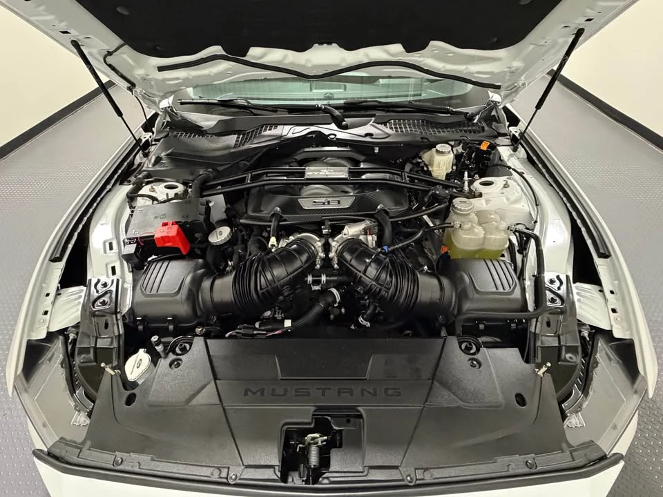 2024 Ford S650 Mustang - Image 6 of 14