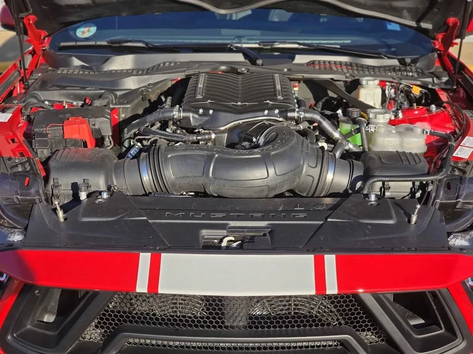 2024 Ford S650 Mustang - Image 17 of 17