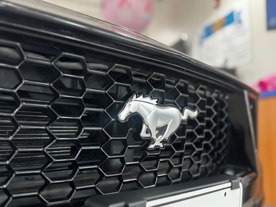 2024 Ford S650 Mustang - Image 17 of 19