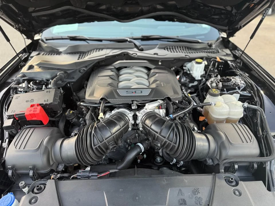 2024 Ford S650 Mustang - Image 12 of 14