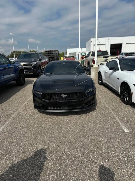 2024 Ford S650 Mustang - Image 2 of 8