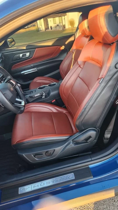 2024 Ford S650 Mustang - Image 5 of 20