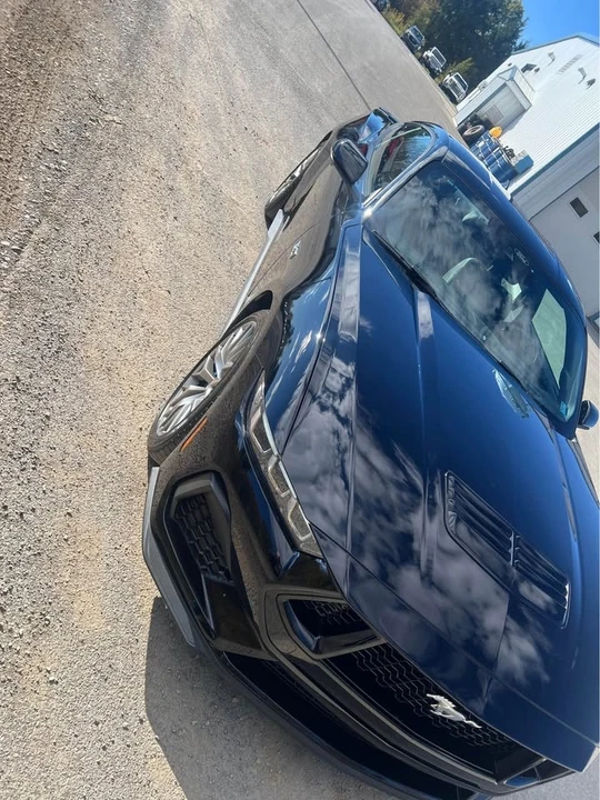2024 Ford S650 Mustang - Image 10 of 16